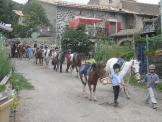 Paseo a caballo para niños 
